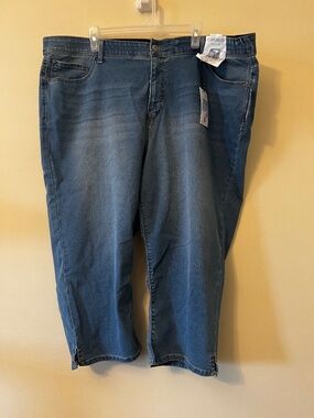 Curve Appeal 24W Jean Capri